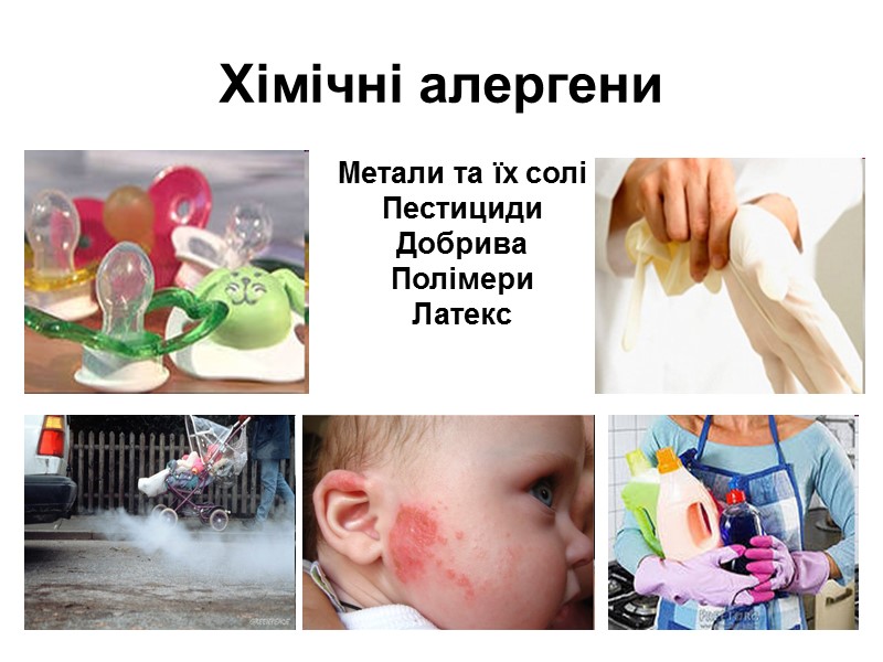 Хімічні алергени     Метали та їх солі Пестициди  Добрива 